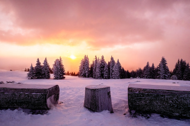 Sonnenaufgang in orange und violett. Es ist eine Schneelandschaft. Im Vordergrund sieht man Sitzgelegenheiten aus Holzstämmen. Dahinter sind Nadelbäume voller Schnee. Die Sonne steht ein wenig höher als der Horizont. Es ist bewölkt, was die Stimmung verstärkt. Die Sonne leuchtet durch eine kleine wolkenfreie Stelle.