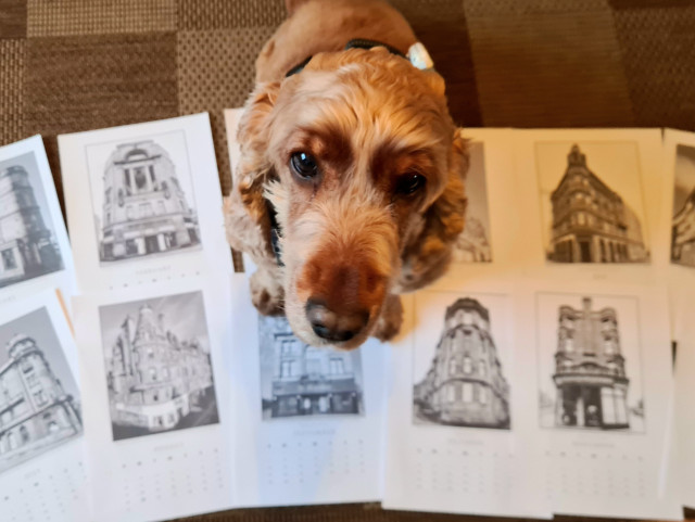 The proof pages of a calendar lie apread out on the floor, with a dog sitting on top of them, looking up at the camera.