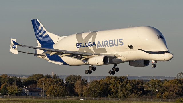 Airbus Beluga XL freighter (A330 with its height doubled and somewhat disconcerting smile and eyeball painted on to look like a beluga whale) arriving at Toulouse airport.