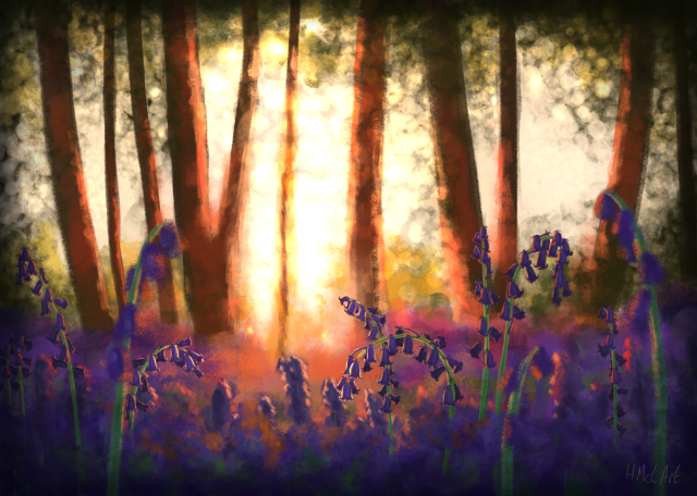 A digital illustration of bluebells in a wood at sunset. The light shines through from the back of the scene, where the trees have been rendered indistinctly in bright oranges and browns. The flowers themselves are more detailed in the foreground, in deep purples and pinks.