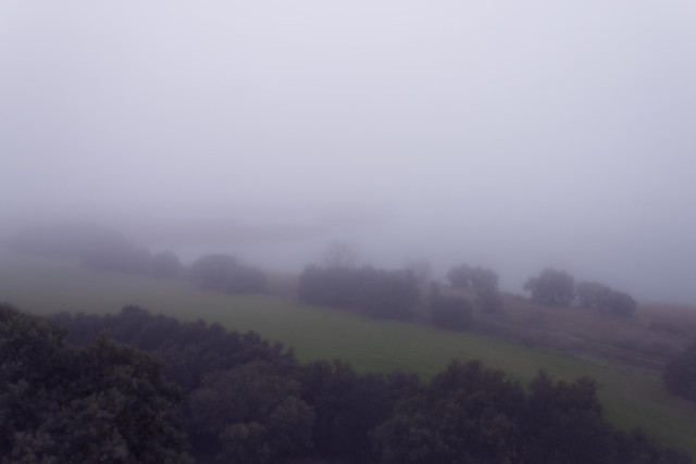 Fotografía donde en el primer plano se ve una línea de árboles y una orilla transversal del embalse. Conforme más alejado de este primer plano, más neblinoso hasta el punto de que la mitad superior no se ve o aprecia nada.