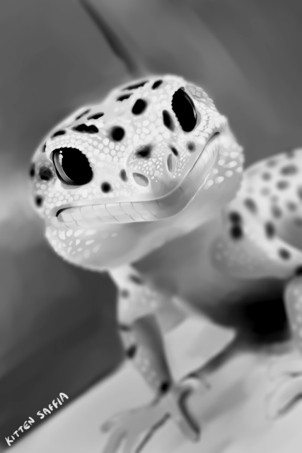 A greyscale digital painting of a gecko. The painted image is a closeup of the gecko's face, the background is out of focus.