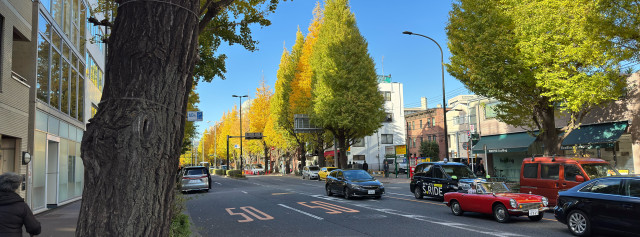 Autumnal scene around Shirokanedai in Minato Ward, Tokyo