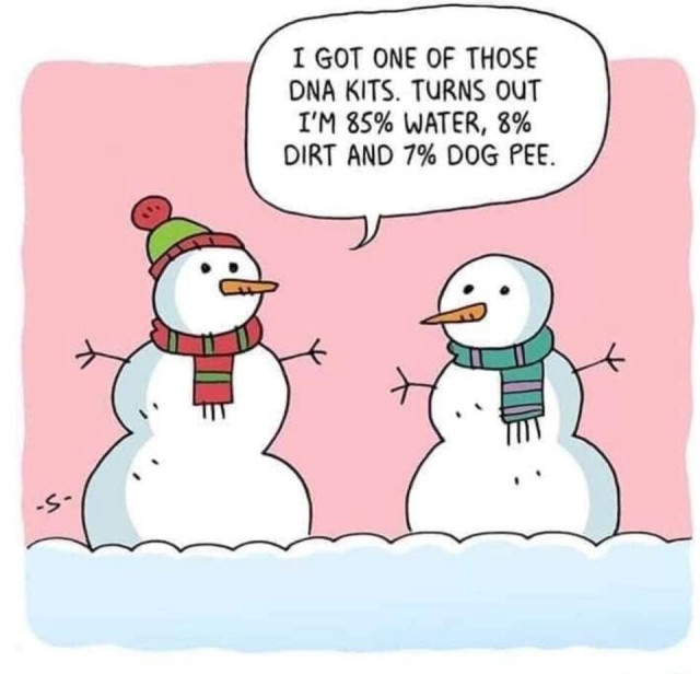 Two snowmen talking 

“I GOT ONE OF THOSE DNA KITS. TURNS OUT I'M 85% WATER, 8% DIRT AND 7% DOG PEE.”