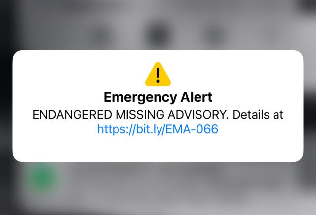 A screenshot of an Emergency Alert from an iPhone. 


Emergency Alert
ENDANGERED MISSING ADVISORY. Details at
https://bit.ly/EMA-066