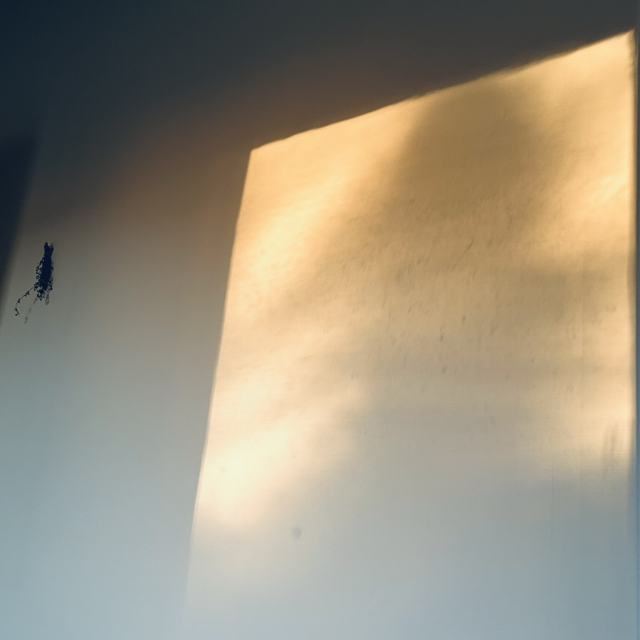 A square photo in colour shows sunlight in a slightly-skewed rectangle shape on a white wall. The sunlight is that which is being reflected off of a windowpane outside the apartment & across the street. This double reflection of Sun to outdoor windowpane to wall creates a final image on the wall that has a quality of a double-exposure, as though two images are superimposed, one on top of the other. The light coming into the room is mid-afternoon light, but the wintry time of year means this light is darker in value & has a significantly yellow glow to it, almost orange. The contrast to the ambient blueish light inside the room makes the sunlight appear even warmer on the wall. To the left of the bright rectangular shape is a sprig of thyme, now dried & left pinned to the wall for good vibes. The overall moment of the photo is high-contrast in feel, dark & light, quiet & loud. Yet, the sum of the parts of these contrasts yields a moment that is unexpectedly calm, content, & cosy.