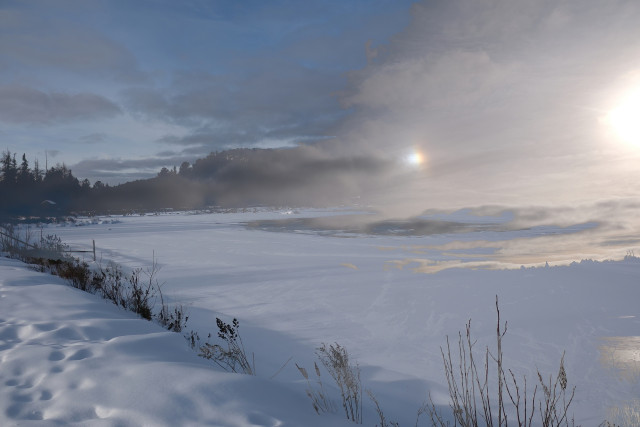 A frozen, snow covered scene. Dry plants around a pond, trees in the distance. Part of the obscured sun is visible at the right edge of the frame, towards the centre is a small sundog in faint rainbow colours. 