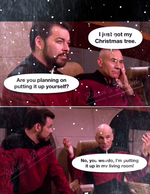 Riker and Picard on the bridge of the Enterprise. 

Picard: I just got my Christmas tree
Riker: are you playing in putting it up yourself?
Picard:  no, you weirdo, I’m putting it up in my living room 