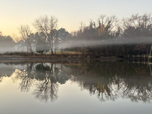 Fog hanging over the creek 