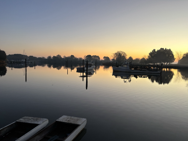 Sunrise over the creek. 