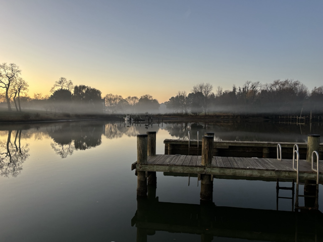 Fog hanging over ye creek near the pier 