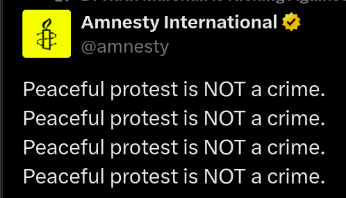 Tweet from Amnesty International

Peaceful protest is NOT a crime.
Peaceful protest is NOT a crime.
Peaceful protest is NOT a crime.
Peaceful protest is NOT a crime. 