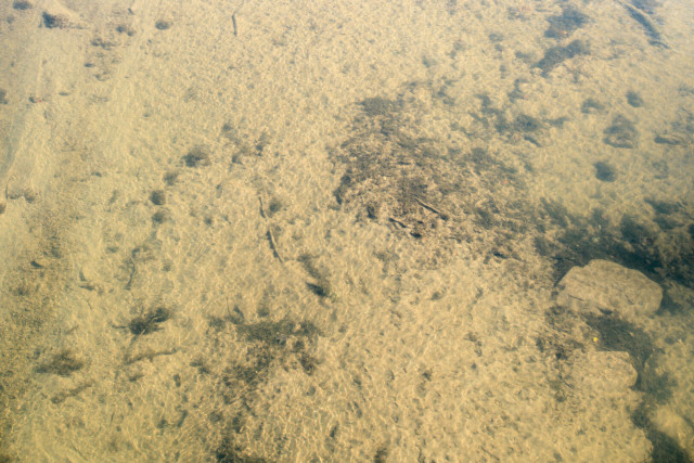 A view of the riverbed from the bridge. The water is clear and shallow, creating patterns of light on the bottom.