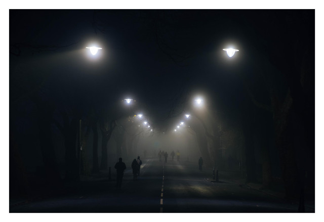 Walk way lined with trees and lights in fox with people walking down