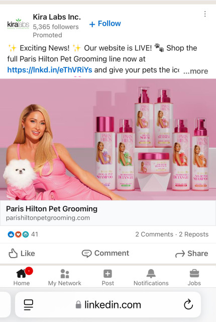 An add for Paris Hilton Pet Grooming on LinkedIn. 