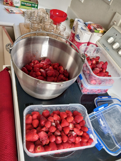 A kitchen prepped for jam making with loads of strawberries, jars, and sugar.