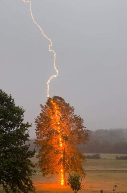 A lightning bolt ⚡️ visible from an overcast sky to a tree standing in a grassy field. The timing perfectly captures both the bolt in the sky and the fiery bolt from the top of the tree to the ground along the left edge of the mostly straight trunk.

The light effect makes the tree glow with a reddish orange light.