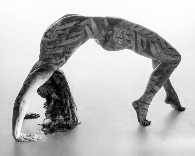 A naked woman is doing a bridge from her feet to her hands with her body arched up. Her skin is covered in leaves from the double exposure. Black and white. 