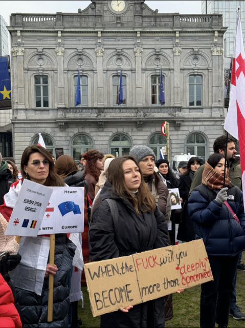 Georgia Protestors outside European Parliament. One holds a cardboard sign 'When the fuck will you become more than deeply concerned?'