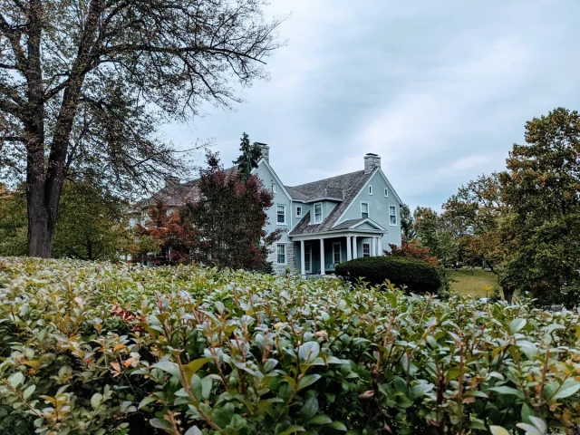 A modest, light blue countryside home sat among some trees and bushes