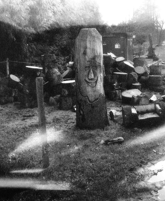 A tree trunk with a slightly loopy smiling face carved into it. Surrounding it is a messy pile of large chunks of cut up tree. One of them is carved into a child sized sofa. There's some weird light showers on the unit because this was taken with a fairly crappy camera.