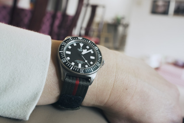 A Tudor Pelagos FXD on its original green with red stripe band. 