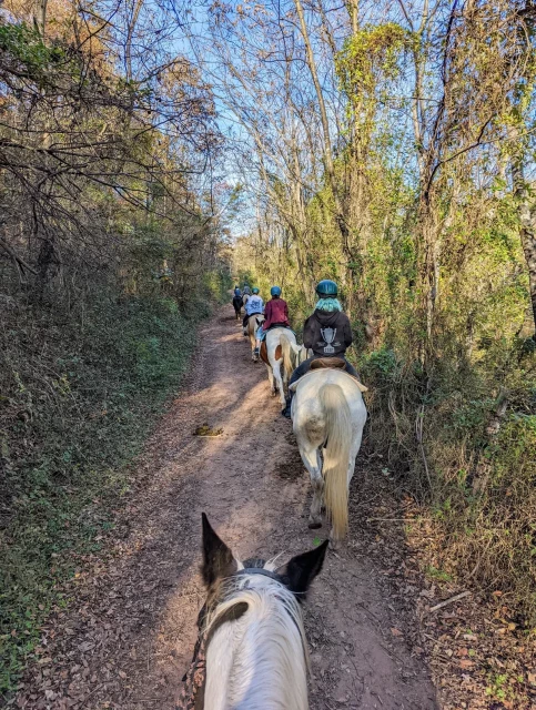 a photo of my view from atop my horse of my family on their horses