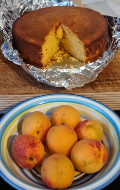 A bowl with six apricots in with various hues of yellow and pink. Behind, sitting on a foil covered plate, is a sponge cake made with apricots and yoghurt. It has a section cut out showing the yellow spongy inside and the brown, baked, outside 