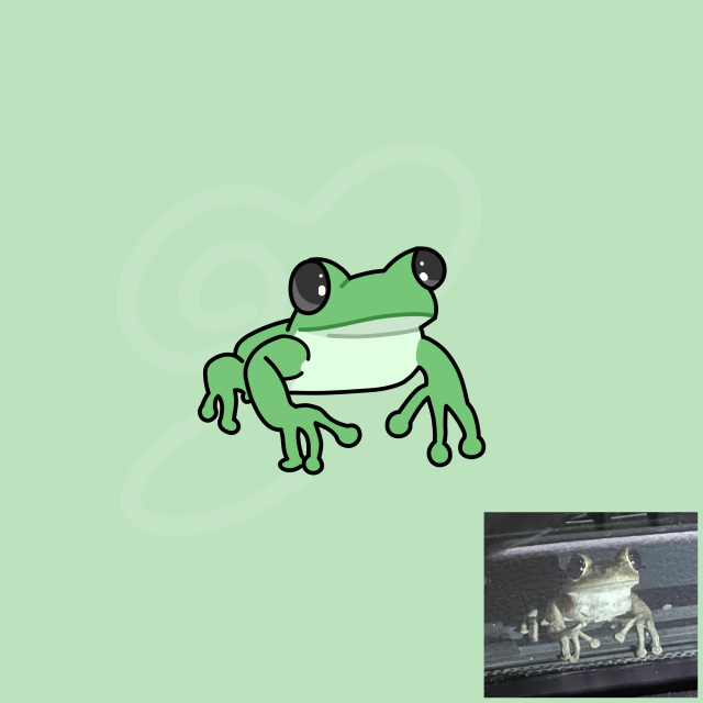 drawing of a cute frog perched on a windshield wiper with the reference image in the bottom-right