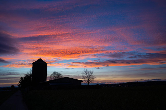 Die Silhouette des alten Wasserturms mit Bäumen und Sträuchern rechts und links sowie das alte Pumphausgebäude. 
Der Himmel ist blau, einige Wolken rot durch den baldigen Sonnenaufgang. 