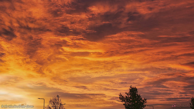 A photo of the sky with trees and streetlights at the bottom of the shot. The cloud cover is total, no cyan or blue is visible. The cloud deck is brightly lit from beneath by the rising sun with the intense colours of fire. The palette ranges from a pale lemon yellow in the bottom left corner, through strong shades of yellow and orange to a brownish red on the right. It's gorgeous.