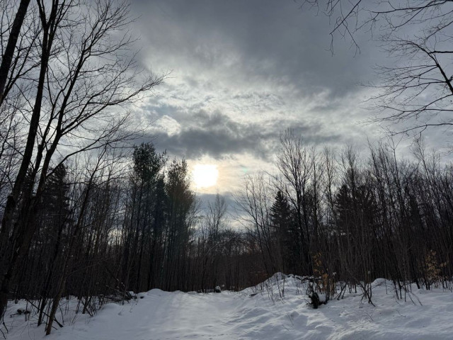 Sun peeking through the clouds in a cloudy sky over a winter landscape with snow and bare trees