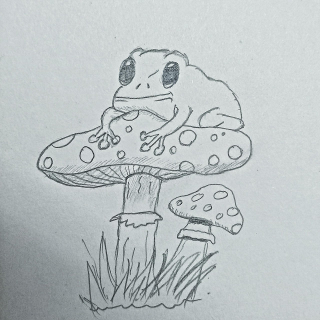 A sketch of a frog sitting on a mushroom, there's a smaler mushroom next to it. There are grass too. Mushroom has spots on them. 