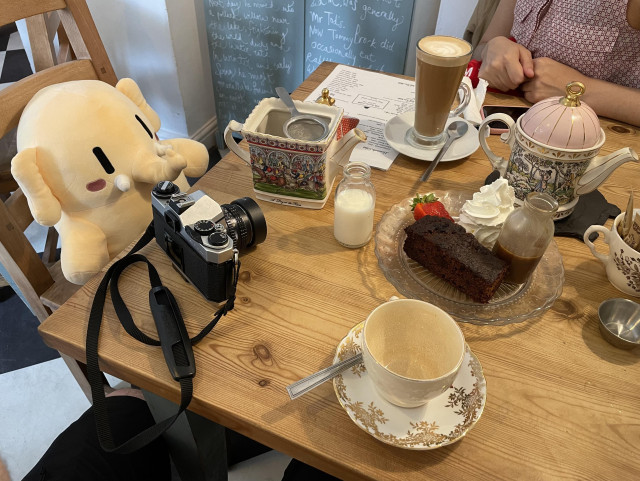 A Mastodon stuffed toy is sitting in front of a table in a cafe.