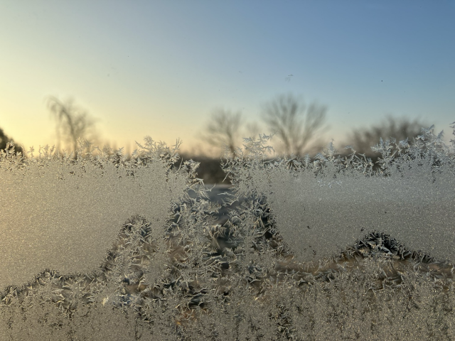 The lower half of the window glass is frosted, with ice forming tree-like structures. Beyond them the upper half shows the tops of leafless trees with the light of dawn behind them under the blue sky.