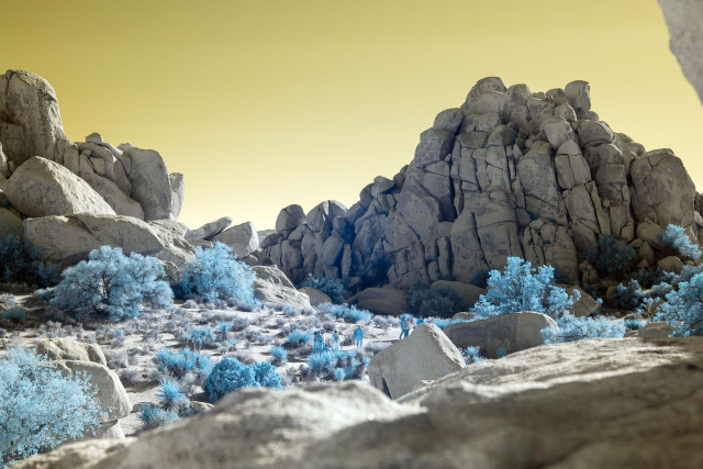 Infrared photo of rocky terrain in Joshua Tree national park. The foliage appears blue and the sky is yellow.