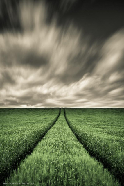 A photograph shows tracks winding through a field of crops in rural Scotland, leading the eye across the expansive landscape. The tracks stretch toward the horizon, guiding the viewer through the scene, while the sky above is filled with dramatic, shifting clouds that add a sense of movement and depth. The contrast between the stillness of the field and the dynamic sky creates a tranquil yet engaging atmosphere.