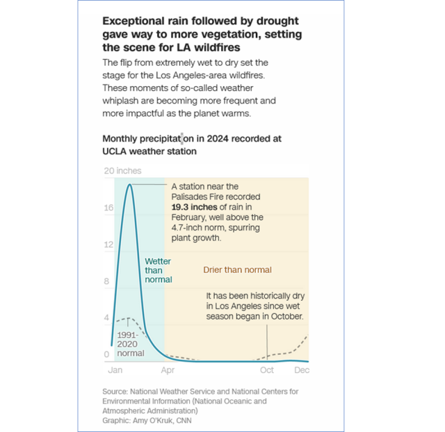 Graph of rainfall for the Palisades area in 2024.