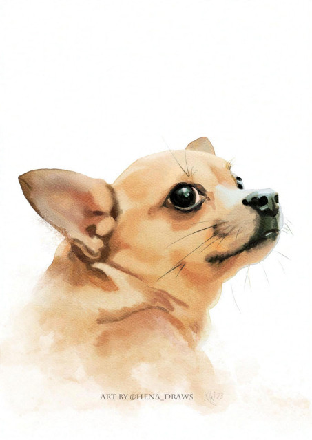 Digital watercolor portrait of a light brown colored Chihuahua dog