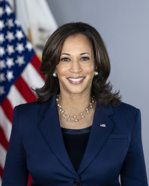 US Vice President Kamala Harris smiles in a formal navy suit with a layered pearl necklace, standing in front of an American flag.