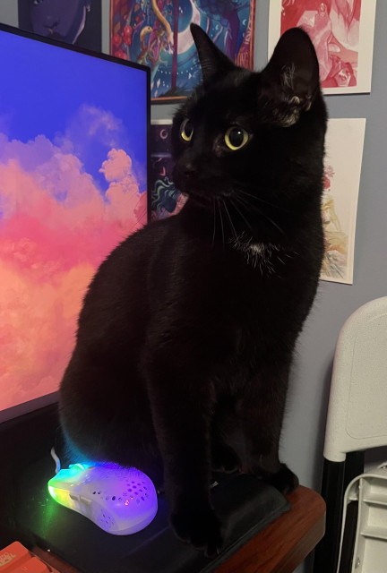 A black cat standing on her owner’s mousepad, besides a computer mouse and in front of a computer screen. She is looking into the distance with her bright, yellow, curious eyes. All of this is happening in front of a wall covered in art prints.