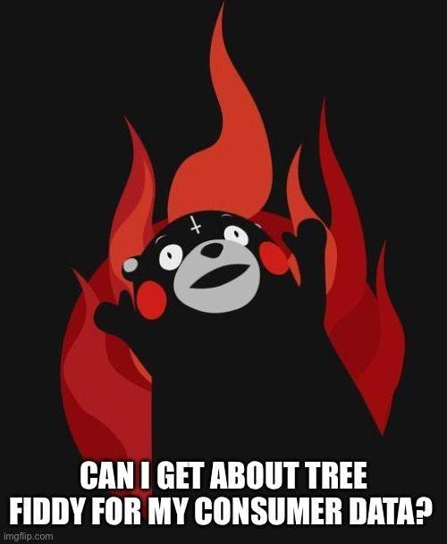 A meme featuring a stylized, distressed-looking Kumamon (a Japanese mascot) engulfed in flames. The overlaid text reads: “CAN I GET ABOUT TREE FIDDY FOR MY CONSUMER DATA?”