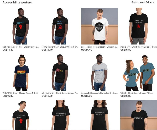 screenshot of the Accessibility Worker section of HTMLZ, displaying 12 shirts