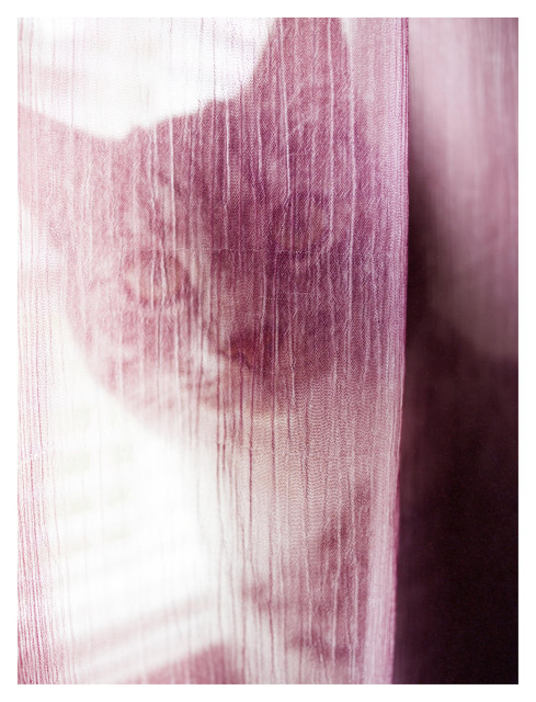 En stående bild på katten Sonja som tittar in i kameran bakom en tunn, rosa gardin. Bakom syns fönstret med persiennerna nere.