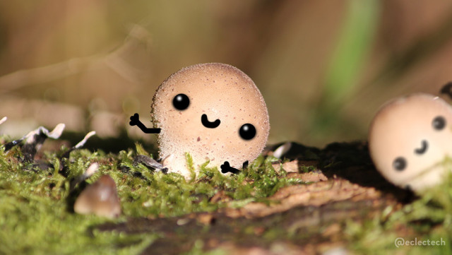 A close up photo of a pale, round, mushroom growing on a mossy tree stump, brightly lit by the sun. It has a smiling face & arms scribbled on, and is waving at you. The focus is tight on the central mushroom with both the foreground and background blurred. On the right hand side is another round mushroom, attempting a photo-bomb but out of focus. They are also smiling and waving at you.
