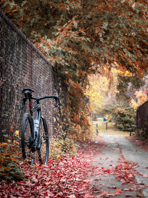 Photo of a black specialized diverge gravel bike, leaning against a chain-link fence next to a foot path that leads to a road. The foot path is littered with red autumn leaves from the trees that are hanging over the top of the fence. It’s a beautiful autumn scene full of green and orange and yellow and red leaves.