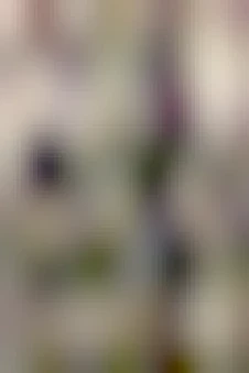 In a forest, three women holding rifles are gathered under a large shady tree, looking off to the left. Two women are standing on either side of another woman who is sitting on the roots of the tree. Beneath the sitting woman someone has faintly written, “Her,” with an arrow pointing up at her.