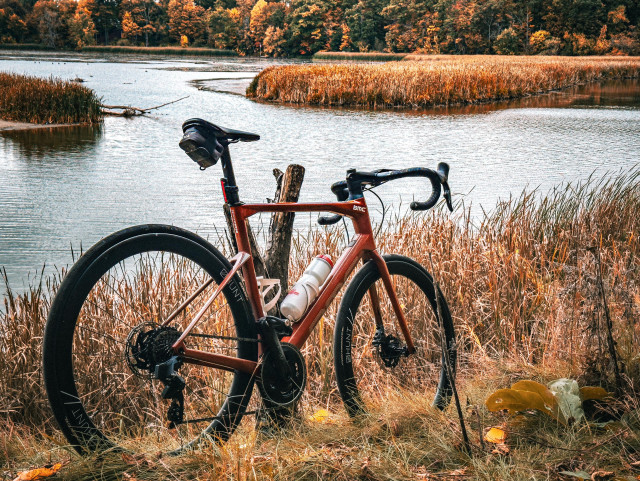 photo of a red BMC Roadmachine road bike standing next to some tall grass, overlooking a marsh. there is a body of water that is punctuated by a few groves of tall grass. on the other side of the shore there is a line of trees showing beautiful autumn leaves that are green and orange and yellow and brown 