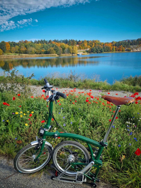 In the foreground stands a folding bike in front of summer flowers. Behind lies a calm lake. On the far side of the lake is a forest with autumn coloured trees. It is a sunny day.
