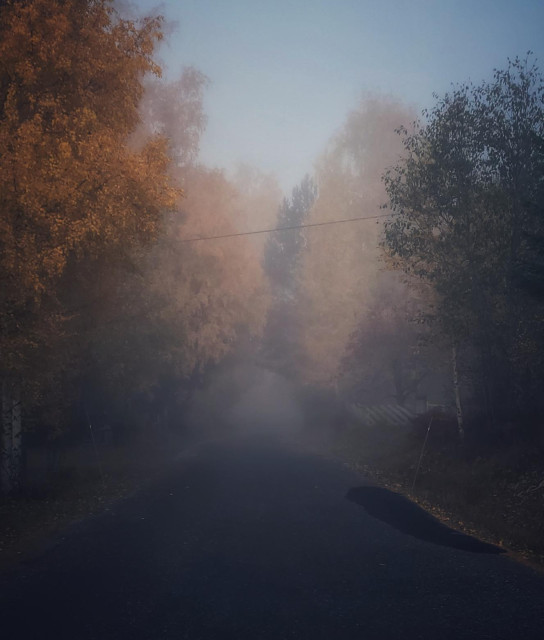 A narrow country road through an autumnal avenue. The trees form a colourful tunnel. The road disappears into the mist, but the sky is partly blue.